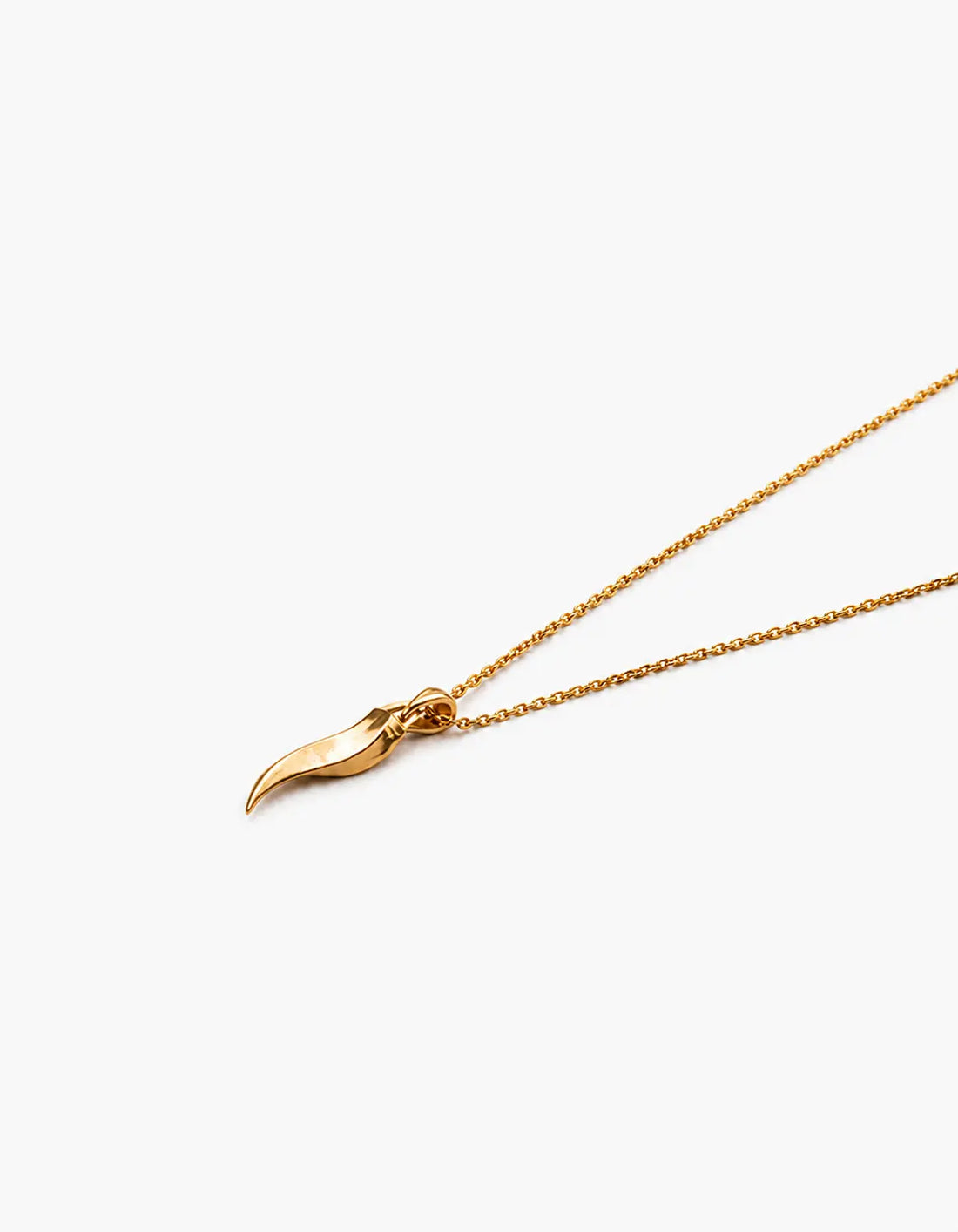 Talon Necklace